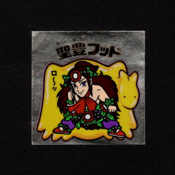 画像1: 聖豊フッド