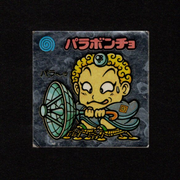 画像1: パラボンチョ