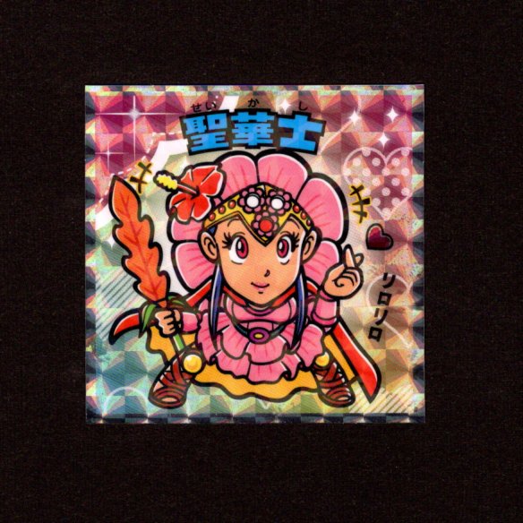 画像1: 聖華士（NO.11）