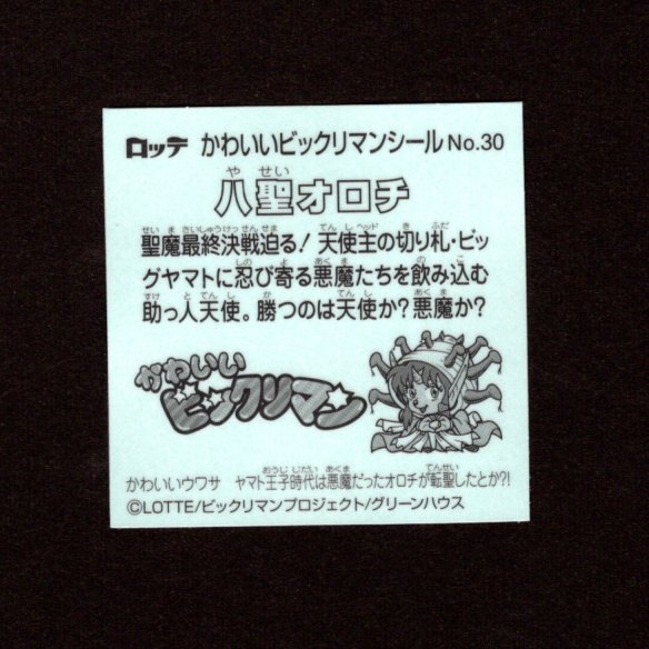 画像2: 八聖オロチ（NO.30）