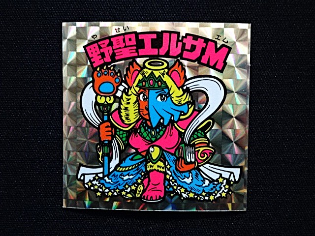 画像3: 野聖エルサM（B）