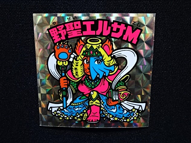 画像4: 野聖エルサM（B）